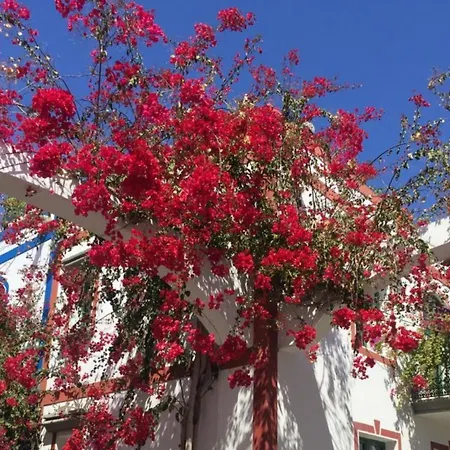 Daire One Bedroom In Puerto Mogan